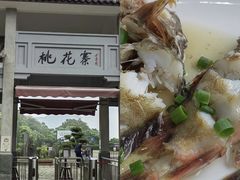 -桃花岛风景旅游区