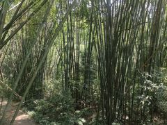 -广州市白云山风景名胜区