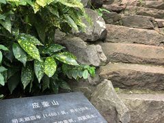 -汇龙潭