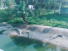 -广州长隆飞鸟乐园
