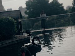 -行者书屋大堂吧 ·下午茶(南京圣和府邸酒店)