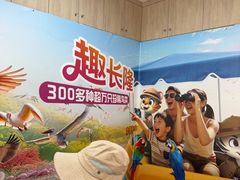 -广州长隆飞鸟乐园