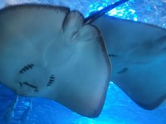 -太平洋海底世界