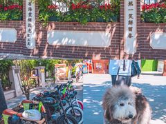 -天津五大道文化旅游区