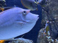 -成都浩海立方海洋公园