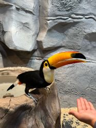 -Zoolung Zoolung动物主题公园(海信广场店)