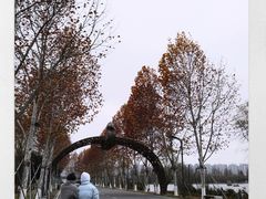 -洋湖国家湿地公园