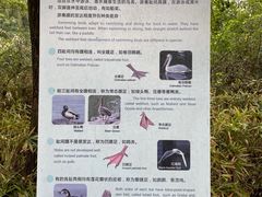 -同里国家湿地公园