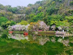-星湖旅游景区七星岩