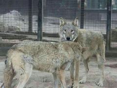 -西安秦岭野生动物园