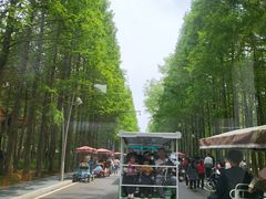 -日照海滨国家森林公园