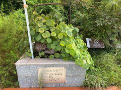 -广州神农草堂中医药博物馆