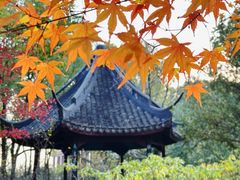 -上海醉白池公园