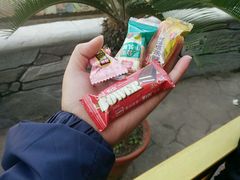 -蓬莱欧乐堡梦幻世界