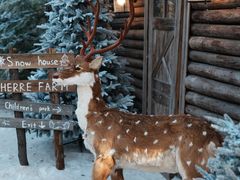 -HERRE·FARM 赫尔露营农场·团建聚会包场