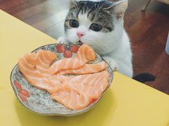 -HIHE Bistro·Oyster Bar(华熙live店)