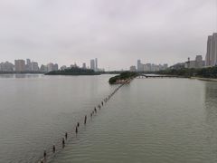 -白鹭洲公园