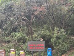 -神农山景区