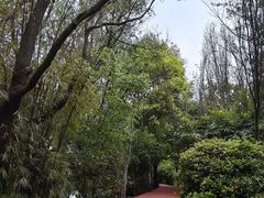 -贵阳市花溪国家城市湿地公园