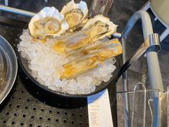 压锅生蚝-日进一片海.生腌海鲜火锅.宵夜烧烤(三里屯总店)