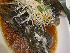 -骏莱海鲜鱼港(五角场店)