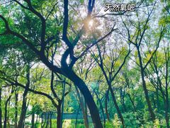 -禅宗少林·音乐大典