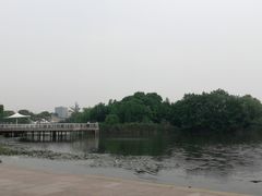 -新江湾城公园