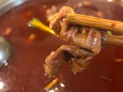 -冯记香辣兔火锅(茶店子总店)