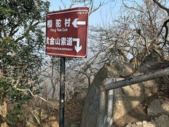 -紫金山山顶公园