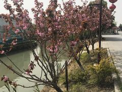 -洪泽湖古堰景区