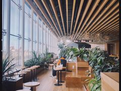 -Seesaw Coffee(朝阳大悦城店)