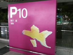 -虹桥火车站-停车场