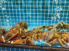 -庆赫隆融合菜馆(群力店)