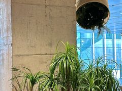 -农畉LONFOOD(万象天地店)