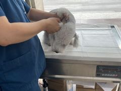 -申普宠物医院·眼科·心内科·影像科(普陀分院)