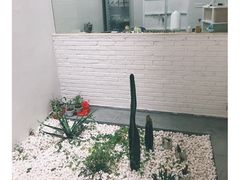 -禾康家蛋糕店