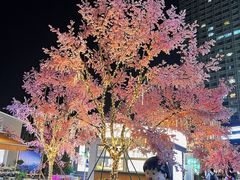 -首开·龙湖成都西宸天街