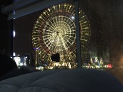 -金鸡湖桃花岛