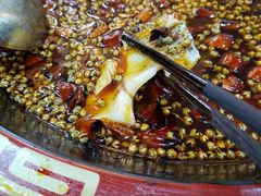 -烧哥美蛙肥肠鱼火锅·十五年社区店