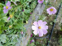 -丽江泸沽湖景区