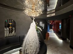 -滇野云南野生菌餐厅(陕西南路店)