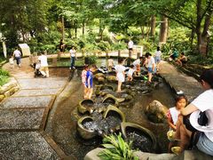 -成都市活水公园