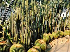 -深圳仙湖植物园