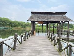 -溱湖国家湿地公园