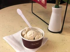 -哈根达斯(国瑞店)