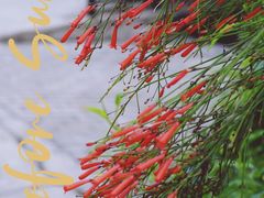 -F518时尚创意园