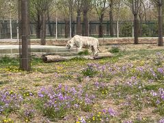 -秦皇岛野生动物园