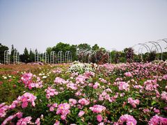 -尚贤河湿地