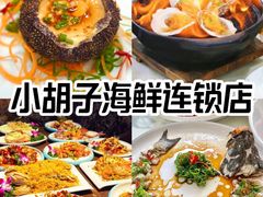 -亚龙湾热带天堂森林公园