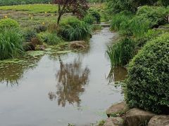 -中国茶叶博物馆(双峰馆区)